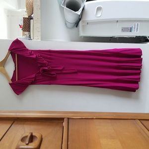 Diane Von Furstenberg Size 6 Fuscia Dress